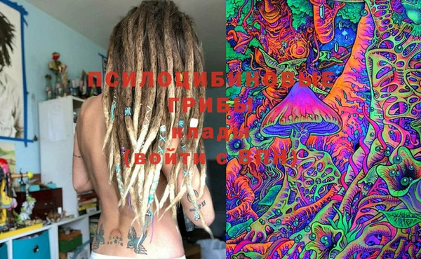 бошки Богданович