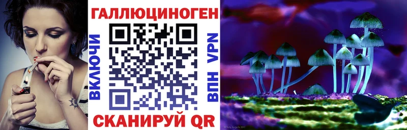 Галлюциногенные грибы MAGIC MUSHROOMS  где можно купить   Дудинка 